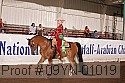 09yn-01019 proof