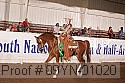 09yn-01020 proof