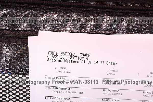 Proof 09yn-08113
