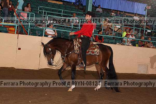 Proof 09yn-08124