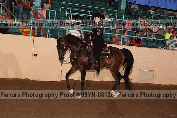 Proof 09yn-08126