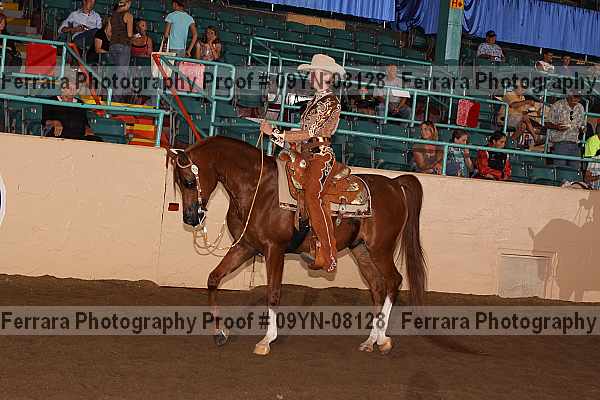 Proof 09yn-08128