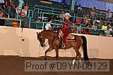 09yn-08129 proof