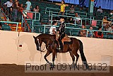 09yn-08132 proof