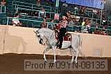 09yn-08135 proof