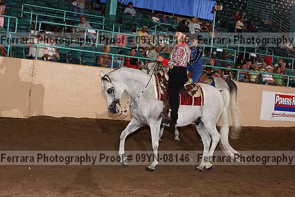 Proof 09yn-08146