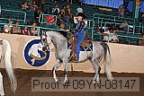 09yn-08147 proof