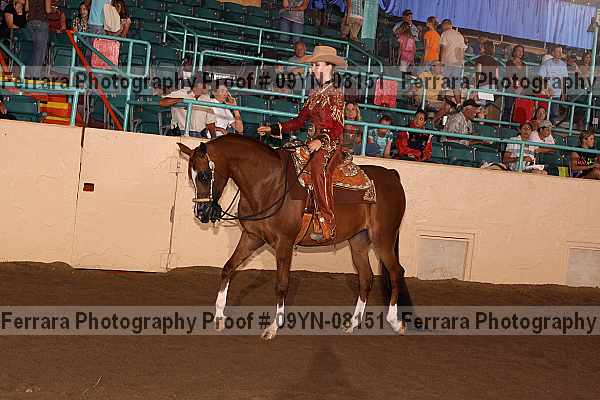 Proof 09yn-08151