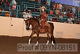 09yn-08151 proof