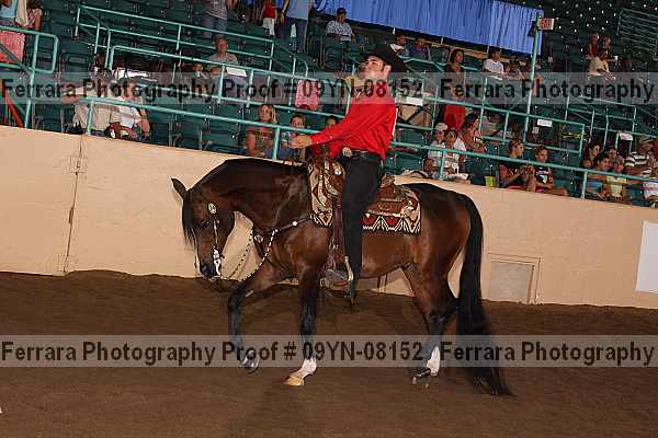 Proof 09yn-08152
