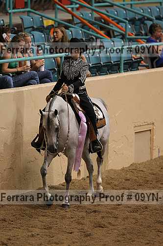 Proof 09yn-08160