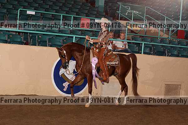 Proof 09yn-08178
