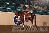 09yn-08178 proof
