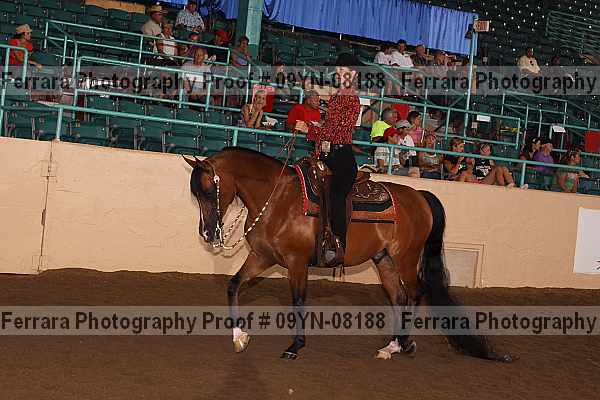 Proof 09yn-08188