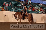 09yn-08191 proof