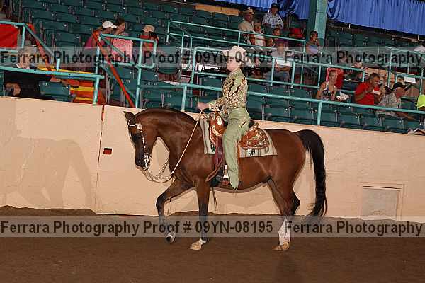 Proof 09yn-08195