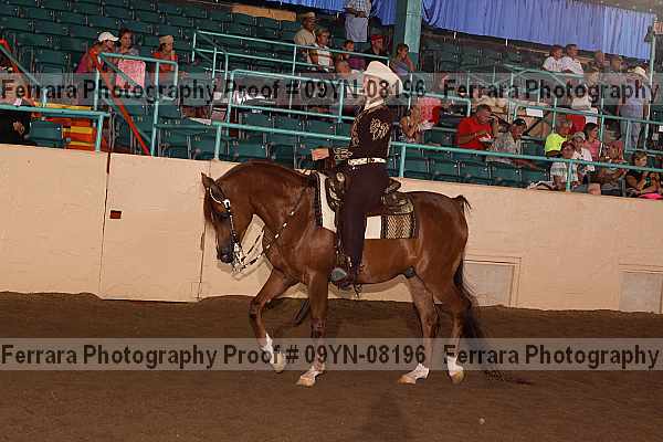 Proof 09yn-08196
