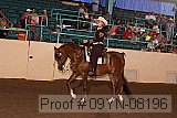 09yn-08196 proof