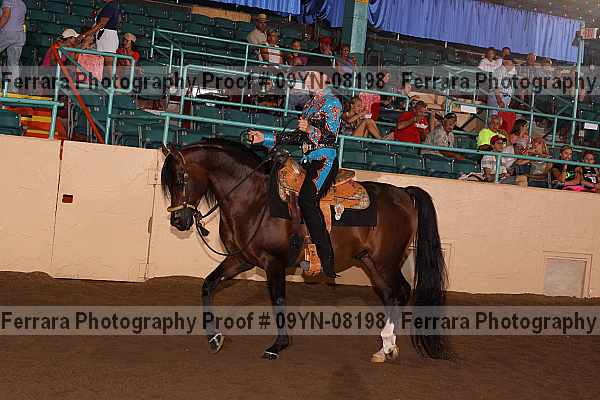 Proof 09yn-08198