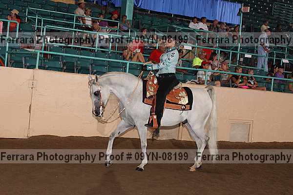 Proof 09yn-08199