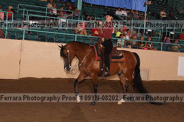 Proof 09yn-08202