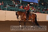 09yn-08202 proof