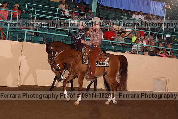 Proof 09yn-08203