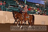 09yn-08203 proof
