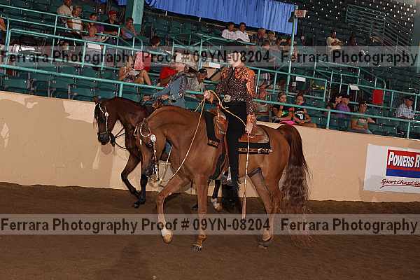 Proof 09yn-08204