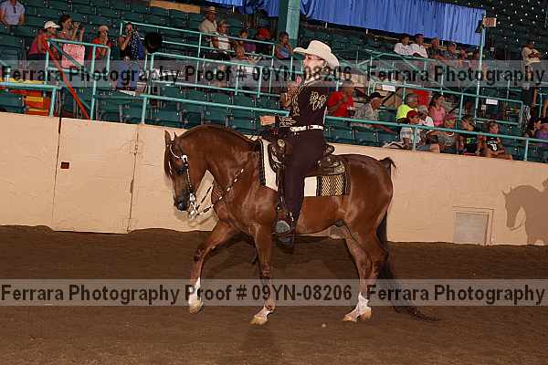Proof 09yn-08206