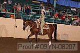 09yn-08207 proof