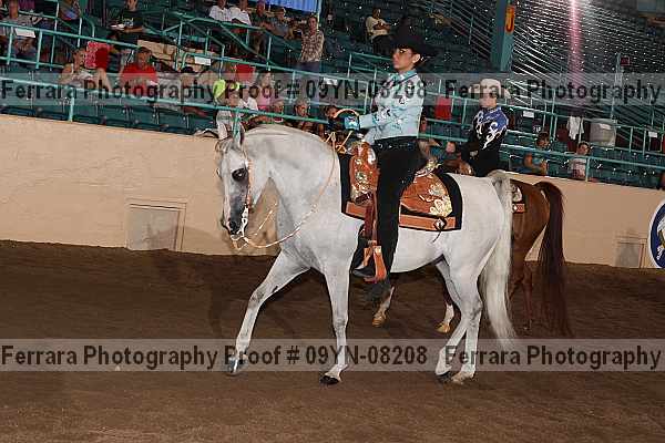 Proof 09yn-08208