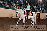 09yn-08208 proof