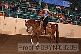 09yn-08209 proof