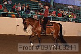 09yn-08211 proof
