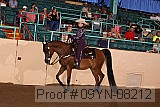 09yn-08212 proof