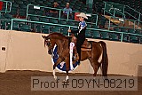 09yn-08219 proof