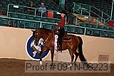09yn-08223 proof