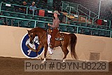 09yn-08228 proof