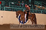 09yn-08229 proof