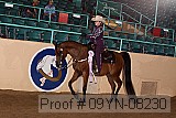 09yn-08230 proof