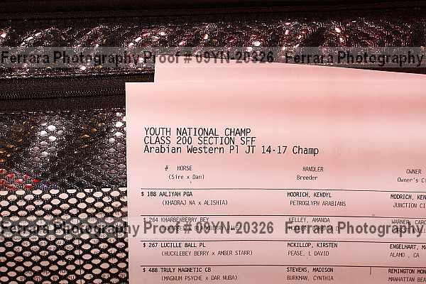 Proof 09yn-20326