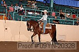 09yn-20328 proof