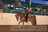 09yn-20329 proof