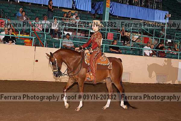 Proof 09yn-20332