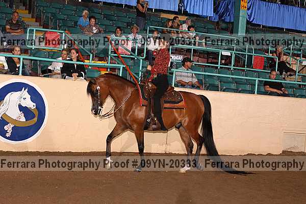 Proof 09yn-20333