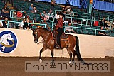 09yn-20333 proof