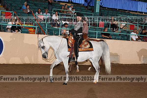 Proof 09yn-20334