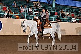 09yn-20334 proof