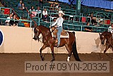 09yn-20335 proof